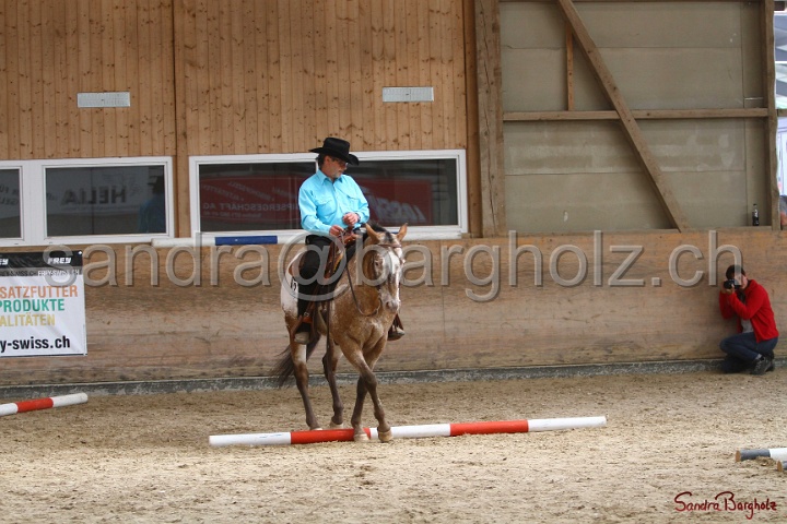 26-ApHC GT_100.jpg